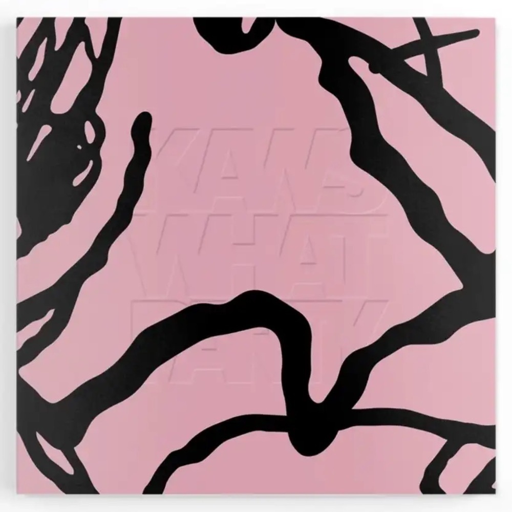 Kaws What Party Soft Cover Book
